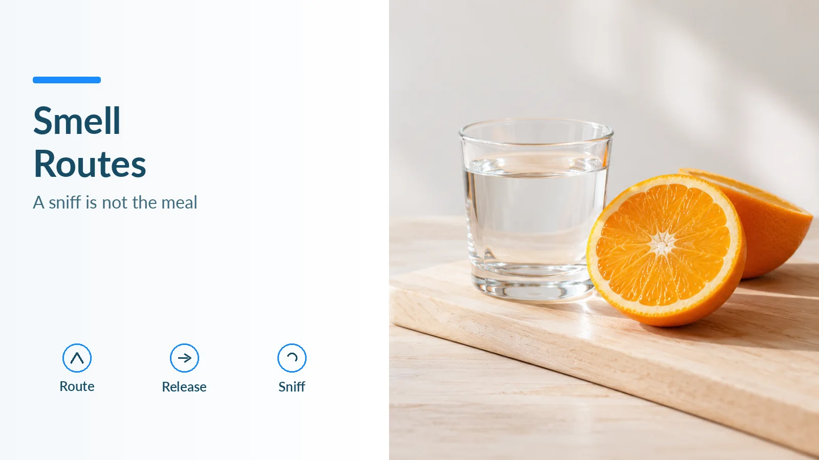 Cover: water and a cut orange on a pale board, titled Smell Routes, with checks for route, release and sniff.